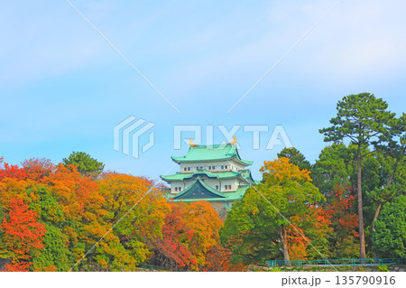 愛知県名古屋市、秋の名古屋城の風景 135790916