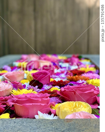 1月の華やかな花手水(薔薇・ガーベラ・菊・デンファレ)〈菅生神社/愛知県岡崎市〉 1月の華やかな花手水(薔薇・ガーベラ・菊・デンファレ)〈菅生神社/愛知県岡崎市〉 135791486