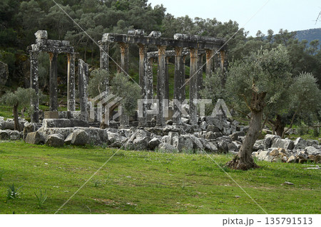 Columns of the ancient temple of Zeus at Euromos was an ancient city in Caria Anatolia Turkey Columns of the ancient temple of Zeus at Euromos was an ancient city in Caria Anatolia Turkey 135791513