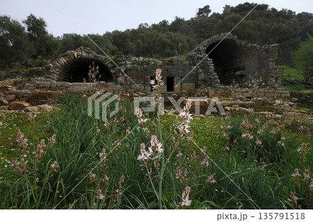 Columns of the ancient temple of Zeus at Euromos was an ancient city in Caria Anatolia Turkey Columns of the ancient temple of Zeus at Euromos was an ancient city in Caria Anatolia Turkey 135791518