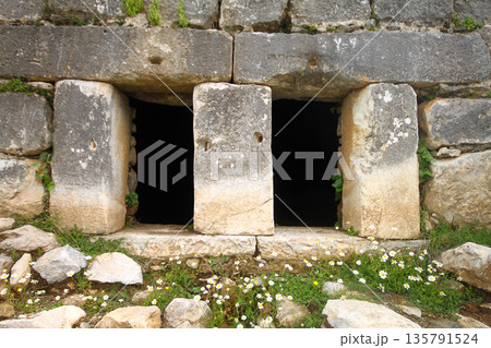 Columns of the ancient temple of Zeus at Euromos was an ancient city in Caria Anatolia Turkey Columns of the ancient temple of Zeus at Euromos was an ancient city in Caria Anatolia Turkey 135791524