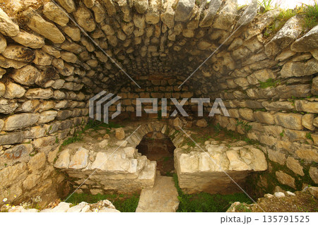 Columns of the ancient temple of Zeus at Euromos was an ancient city in Caria Anatolia Turkey 135791525