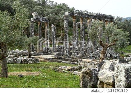 Columns of the ancient temple of Zeus at Euromos was an ancient city in Caria Anatolia Turkey Columns of the ancient temple of Zeus at Euromos was an ancient city in Caria Anatolia Turkey 135791539