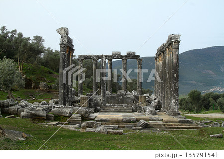 Columns of the ancient temple of Zeus at Euromos was an ancient city in Caria Anatolia Turkey 135791541