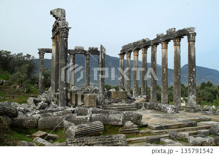 Columns of the ancient temple of Zeus at Euromos was an ancient city in Caria Anatolia Turkey Columns of the ancient temple of Zeus at Euromos was an ancient city in Caria Anatolia Turkey 135791542