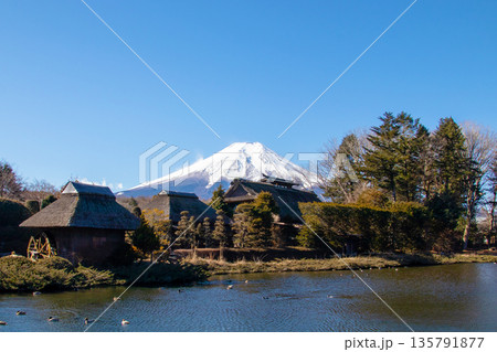 山梨県 忍野八海と富士山 山梨県 忍野八海と富士山 135791877