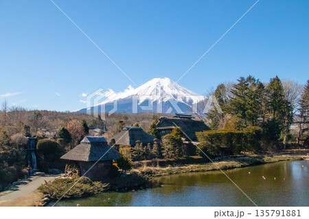 山梨県　忍野八海と富士山 135791881