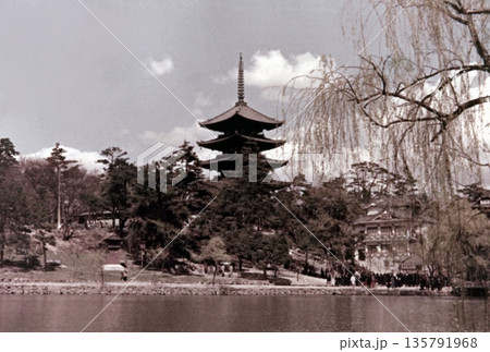 古写真 1958年 奈良公園の猿沢池と興福寺五重塔 古写真 1958年 奈良公園の猿沢池と興福寺五重塔 135791968