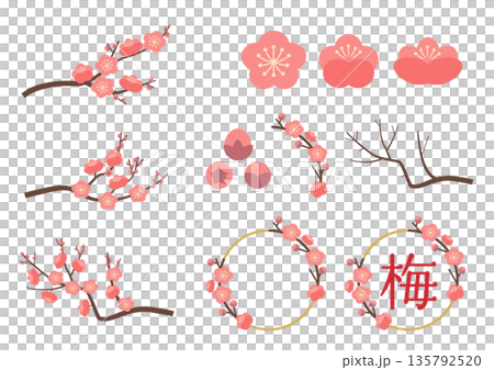 梅花枝條素材組_粉紅色 135792520