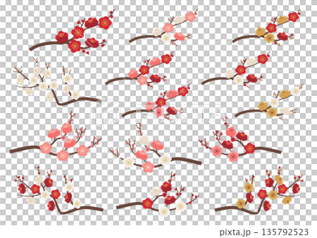 Colorful plum blossom branch set 135792523