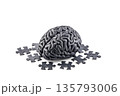 Human brain with puzzle pieces isolated on white background 135793006