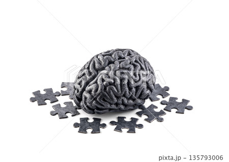 Human brain with puzzle pieces isolated on white background 135793006