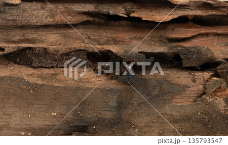Rotten wooden material Rotten wooden material 135793547