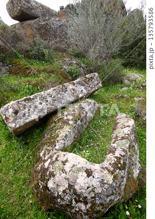 Ruined walls of castle over the lake Bafa in a nature reserve situated in southwestern Turkey 135793586