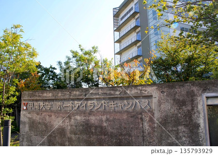 甲南大学ポートアイランドキャンパス 甲南大学ポートアイランドキャンパス 135793929