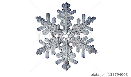 Intricate snowflake crystal with delicate branches and symmetrical design 135794008