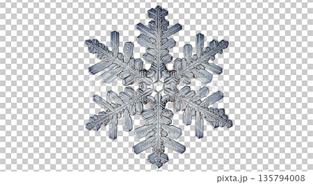 Intricate snowflake crystal with delicate branches and symmetrical design 135794008