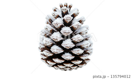 Snowy pinecone in winter landscape 135794012