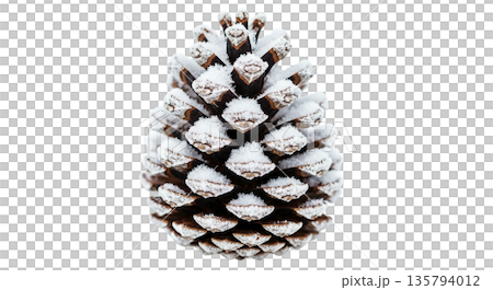 Snowy pinecone in winter landscape 135794012