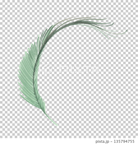 Peacock watercolor feather. Handmade watercolor illustration. For packaging design, cards, cover, wallpaper, prints, product labels and fabric. Peacock watercolor feather. Handmade watercolor illustration. For packaging design, cards, cover, wallpaper, prints, product labels and fabric. 135794755