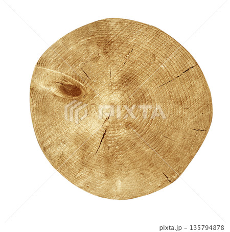 Wood cross section with tree rings texture, transparent background Wood cross section with tree rings texture, transparent background 135794878