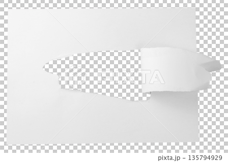 A white paper strip with a natural torn edge, the top part of which is rolled down. A unique design element for banners or price tags with movement. A white paper strip with a natural torn edge, the top part of which is rolled down. A unique design element for banners or price tags with movement. 135794929