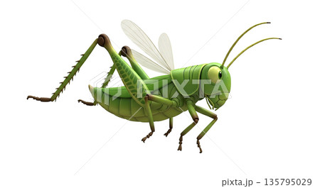 Green grasshopper with large eyes and wings in dynamic pose Green grasshopper with large eyes and wings in dynamic pose 135795029