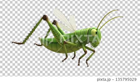 Green grasshopper with large eyes and wings in dynamic pose Green grasshopper with large eyes and wings in dynamic pose 135795029