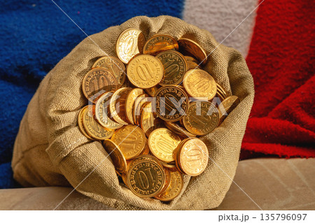 Golden Coins in Sack Golden Coins in Sack 135796097