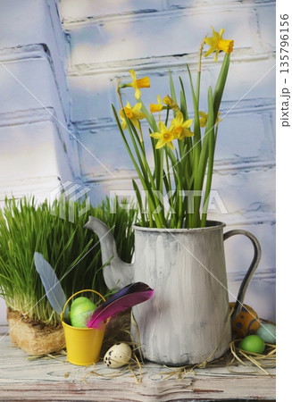 Spring Easter still life with daffodils, green grass and pastel eggs Spring Easter still life with daffodils, green grass and pastel eggs 135796156