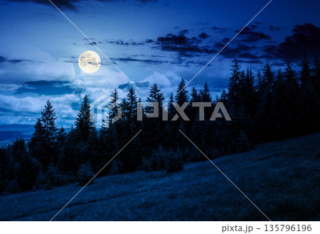 green slope of mountain range with coniferous forest at night. highland landscape under cloudy sky in summer full moon light. wonderful weather. backdrop for fiction art or mystery concept green slope of mountain range with coniferous forest at night. highland landscape under cloudy sky in summer full moon light. wonderful weather. backdrop for fiction art or mystery concept 135796196