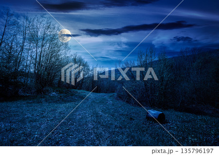 mountain landscape with green grass on a forest glade in spring at night. beautiful nature scenery with beech trees under dark sky in full moon light. strength to overcome fear, loneliness in darkness mountain landscape with green grass on a forest glade in spring at night. beautiful nature scenery with beech trees under dark sky in full moon light. strength to overcome fear, loneliness in darkness 135796197