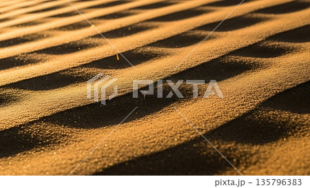 the bamboo shoot on the sand 135796383