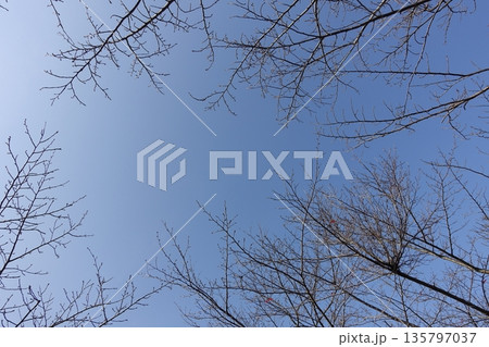 冬イメージ(winter image)　不景気などにも活用できます 135797037