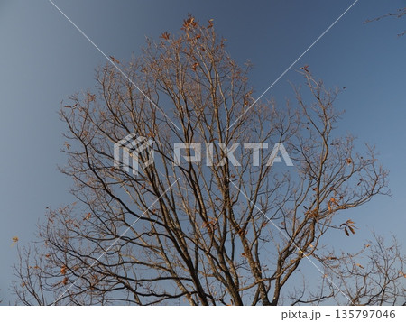 冬イメージ(winter image)　不景気などにも活用できます 135797046