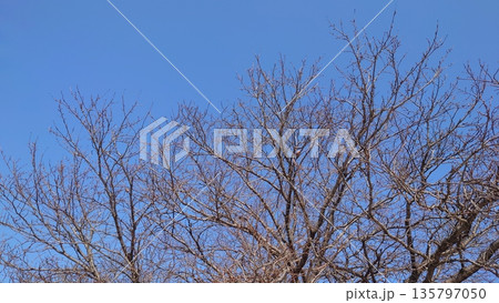 冬イメージ(winter image)　不景気などにも活用できます 135797050