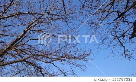 冬イメージ(winter image)　不景気などにも活用できます 135797052