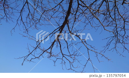 冬イメージ(winter image) 不景気などにも活用できます 冬イメージ(winter image) 不景気などにも活用できます 135797054