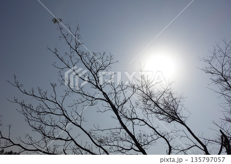 冬イメージ(winter image)　不景気などにも活用できます 135797057
