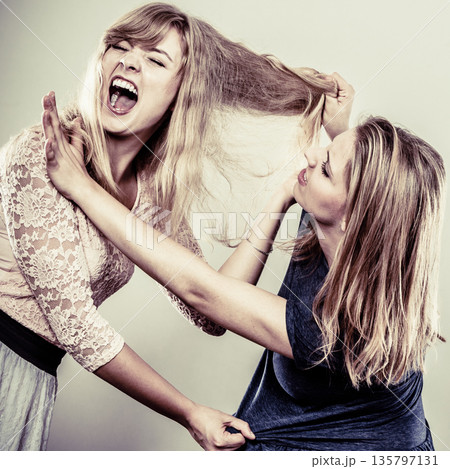 Aggressive mad women fighting each other. Aggressive mad women fighting each other. 135797131