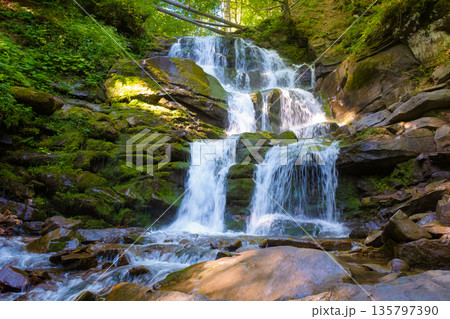 waterfall in the forest on a summer morning. rocks with moss in dappled light. refreshing nature scenery waterfall in the forest on a summer morning. rocks with moss in dappled light. refreshing nature scenery 135797390