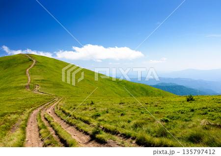 mountain trail to the top of the summit. summer travel landscape under deep blue sky with fluffy clouds. sunny weather. borzhava ridge of transcarpathia, ukraine mountain trail to the top of the summit. summer travel landscape under deep blue sky with fluffy clouds. sunny weather. borzhava ridge of transcarpathia, ukraine 135797412