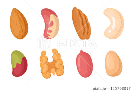 Shelled nuts. Tasty nutritious cashew, almond and walnut nuts, organic snack food flat vector illustration set. Cartoon nuts on white background 135798017