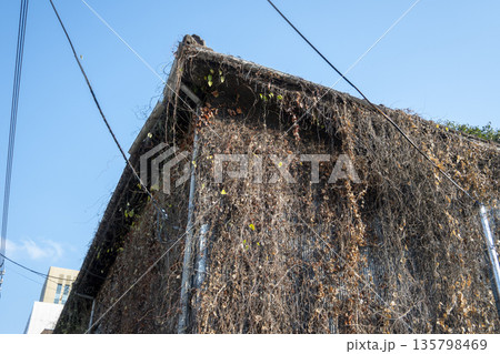 日本の岡山県岡山市の古くてとても美しい建物 135798469