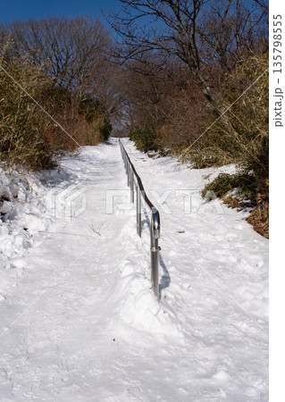 冬の那須登山道の風景 135798555