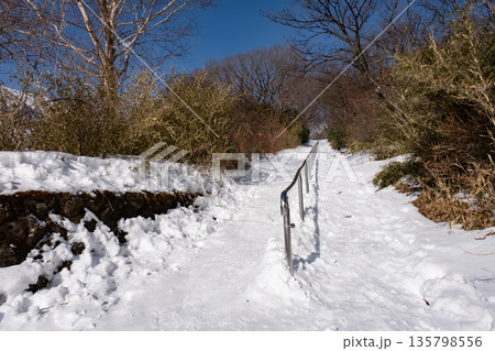 冬の那須登山道の風景 135798556