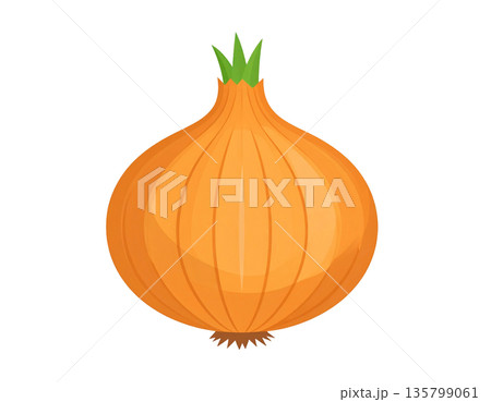 料理や食材に使いやすい玉ねぎ単体のシンプルなイラスト 135799061