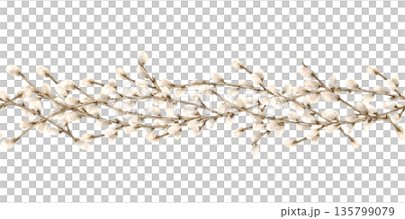 Willow branches vertical seamless border. Botanical wave composition of symbol of spring religious bright holiday Easter. Hand drawn watercolor Isolated illustration. Soft fluffy bud on twig 135799079