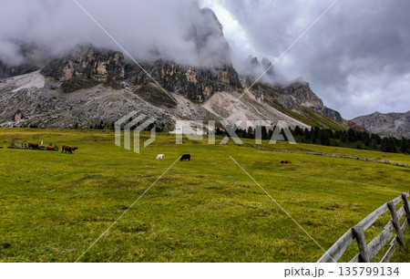 Hiking in the Italian Alps. The Roda de Putia hiking route in the Dolomites. The trail to Mount Peitlerkofel. Colorful landscapes of the mountain range, hiking trails, and huts nearby. High quality 135799134