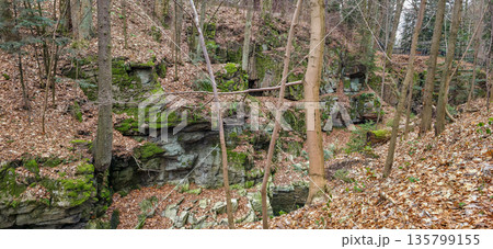 Rock formation of the Sudetes mountains in Poland, close-up. Mountain landscapes in autumn with foliage. High quality photo 135799155